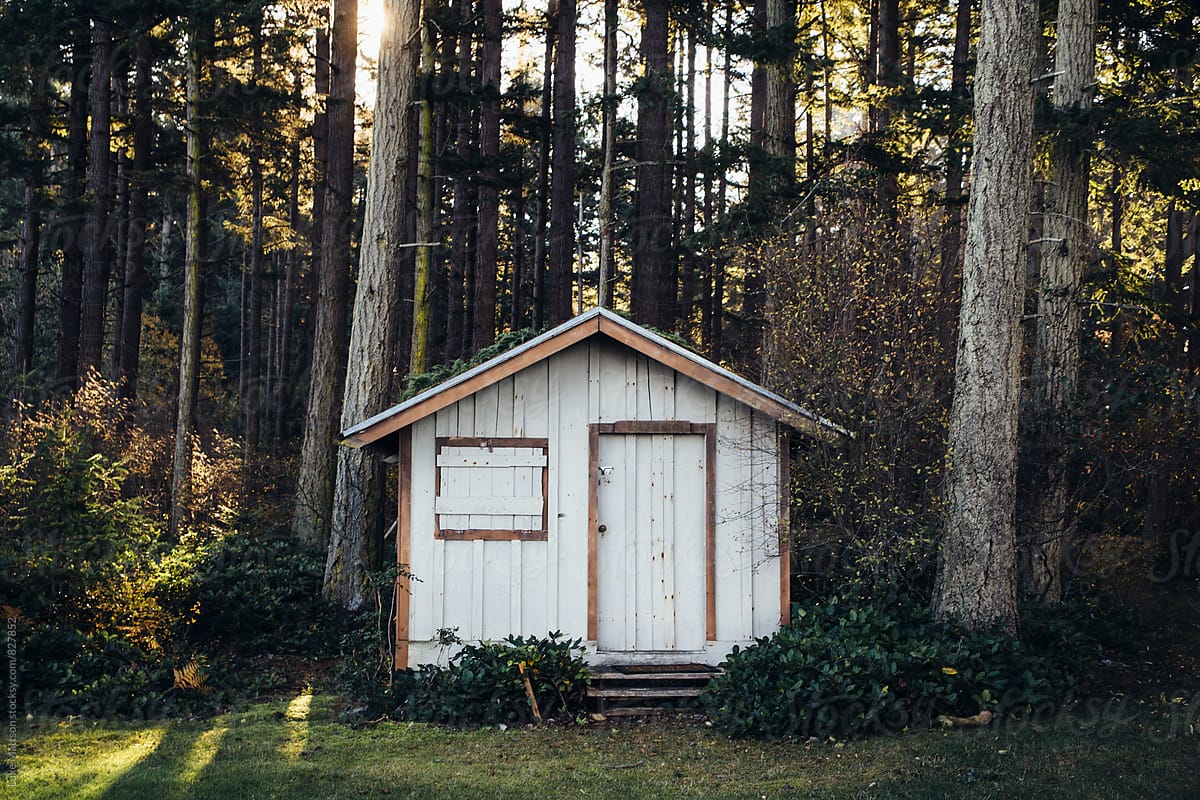 White Tool Shed In Woods Of Forest
