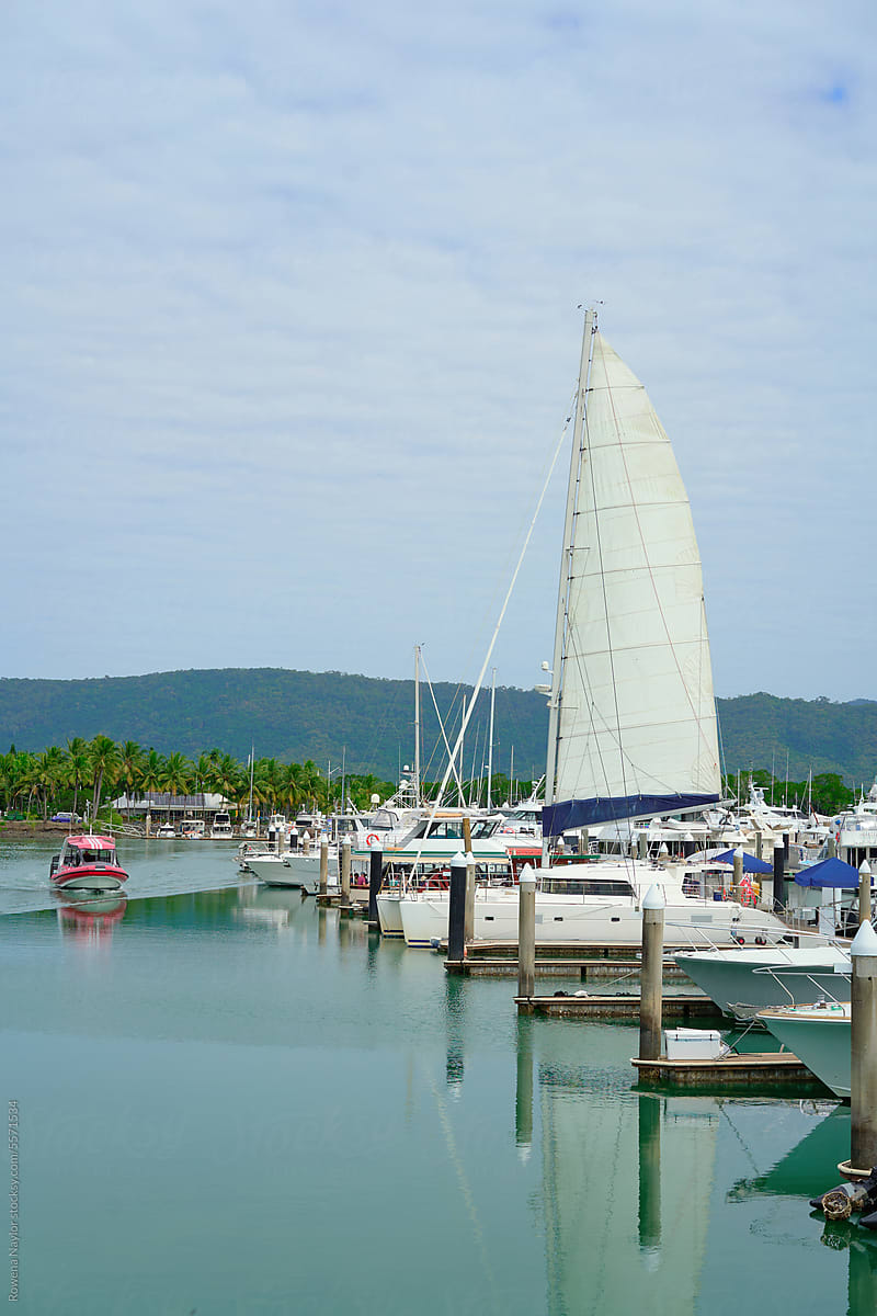 Port Douglas Marina