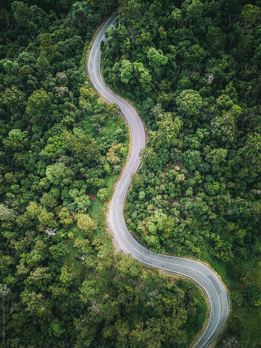 Forest Road from Above