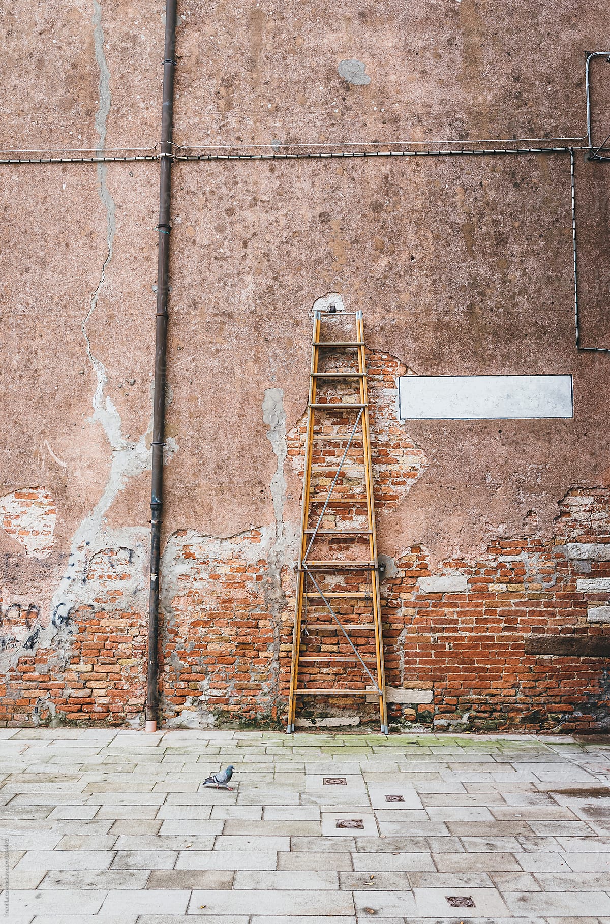 Ladder against brick wall with painted white rectangle