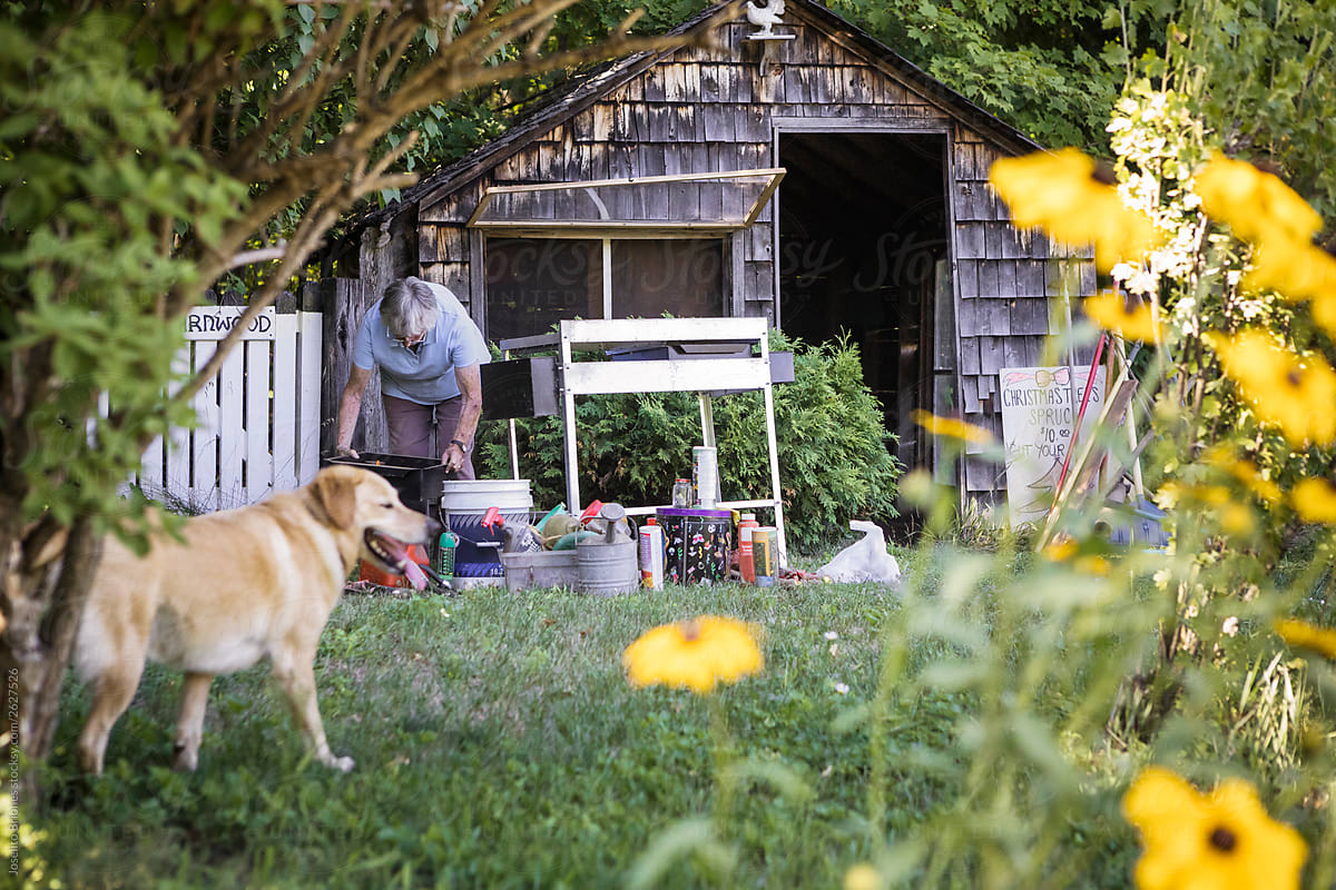 Senior Woman Spring Cleaning Her Tool Shed with Pet Dog hanging around