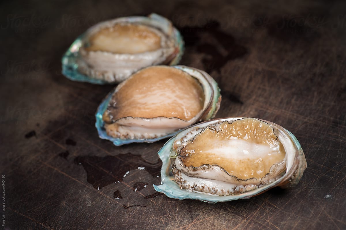 sea food abalone