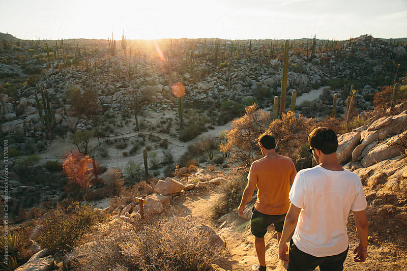 Two young men walking through desert with cactus at sunset on adventure travel