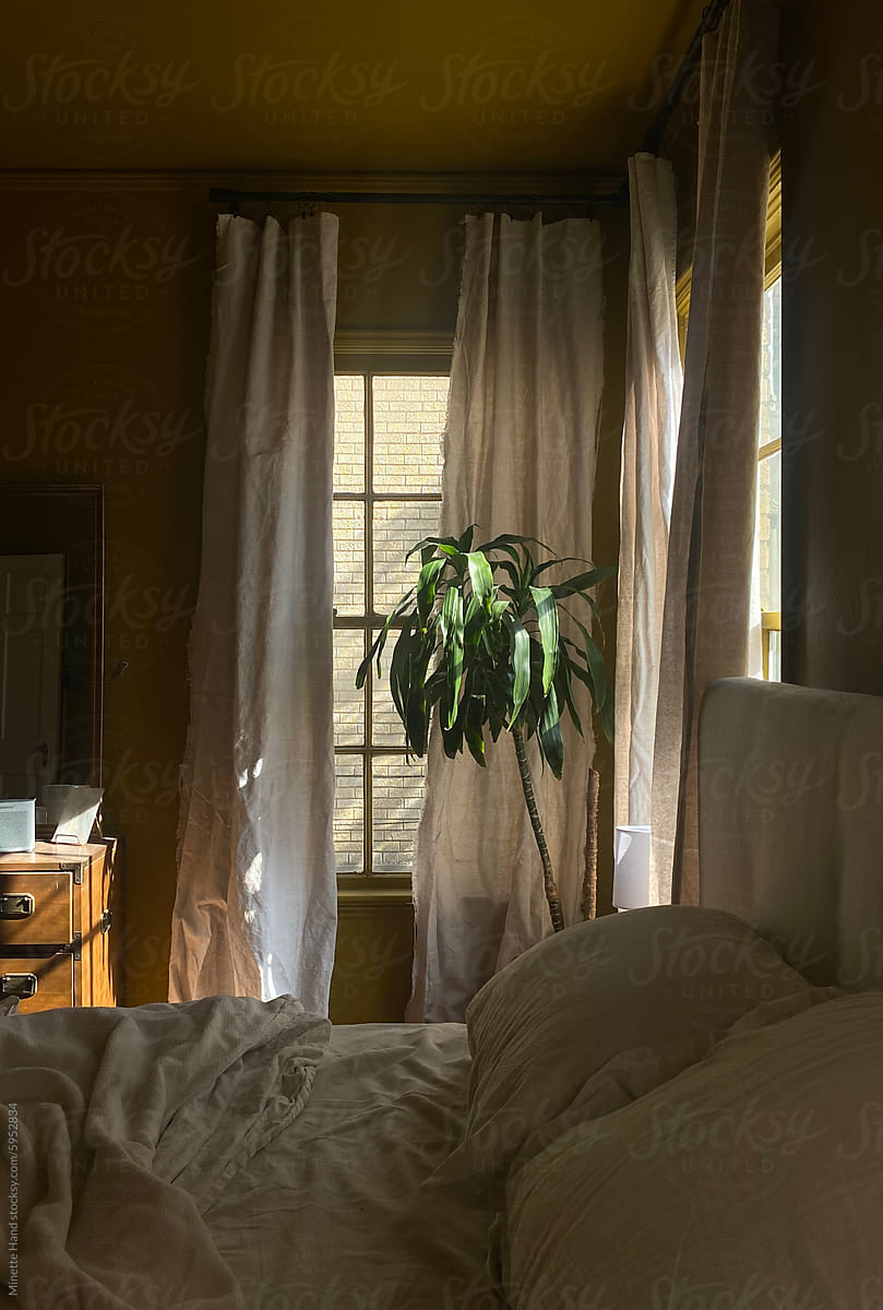 Ochre-Colored Bedroom with Dappled Light