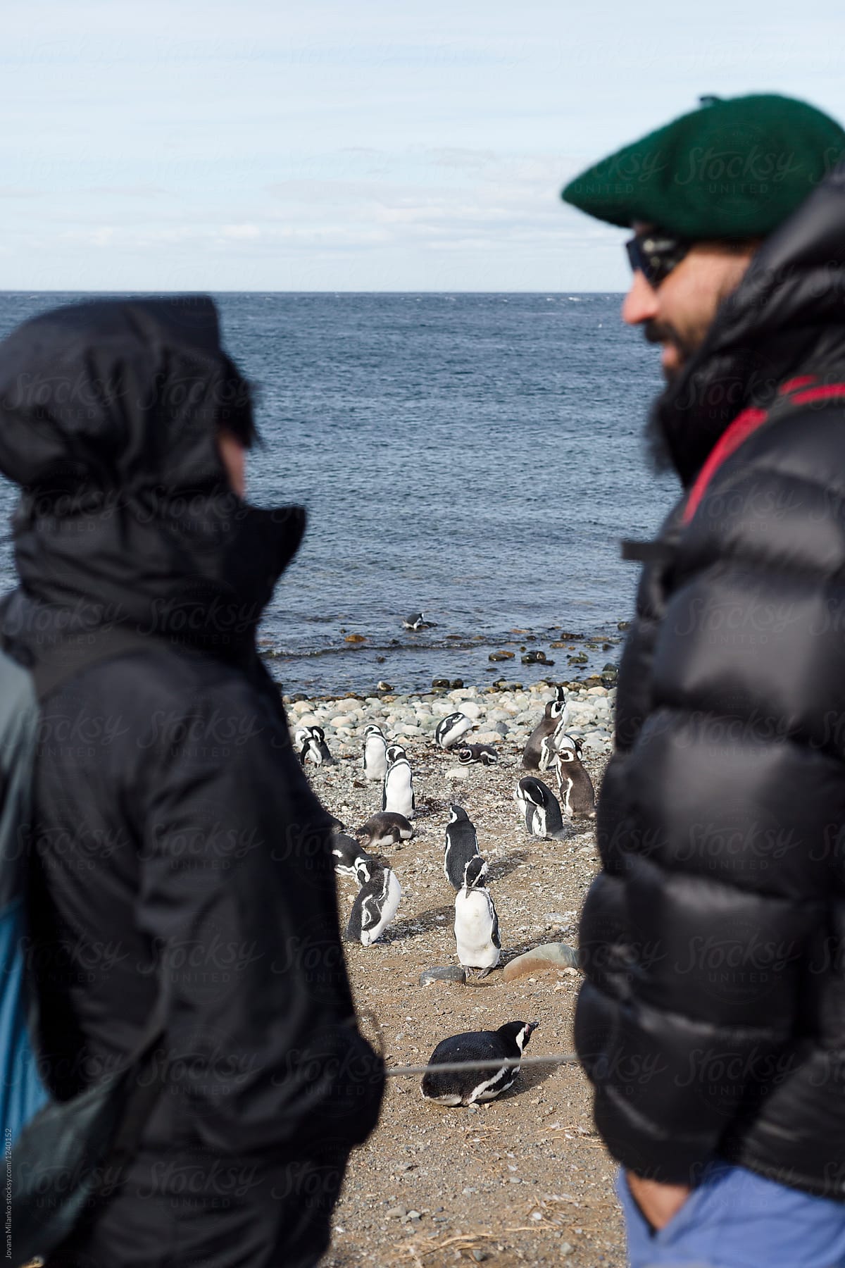 Tourists at Penguin Wildlife Sanctuary