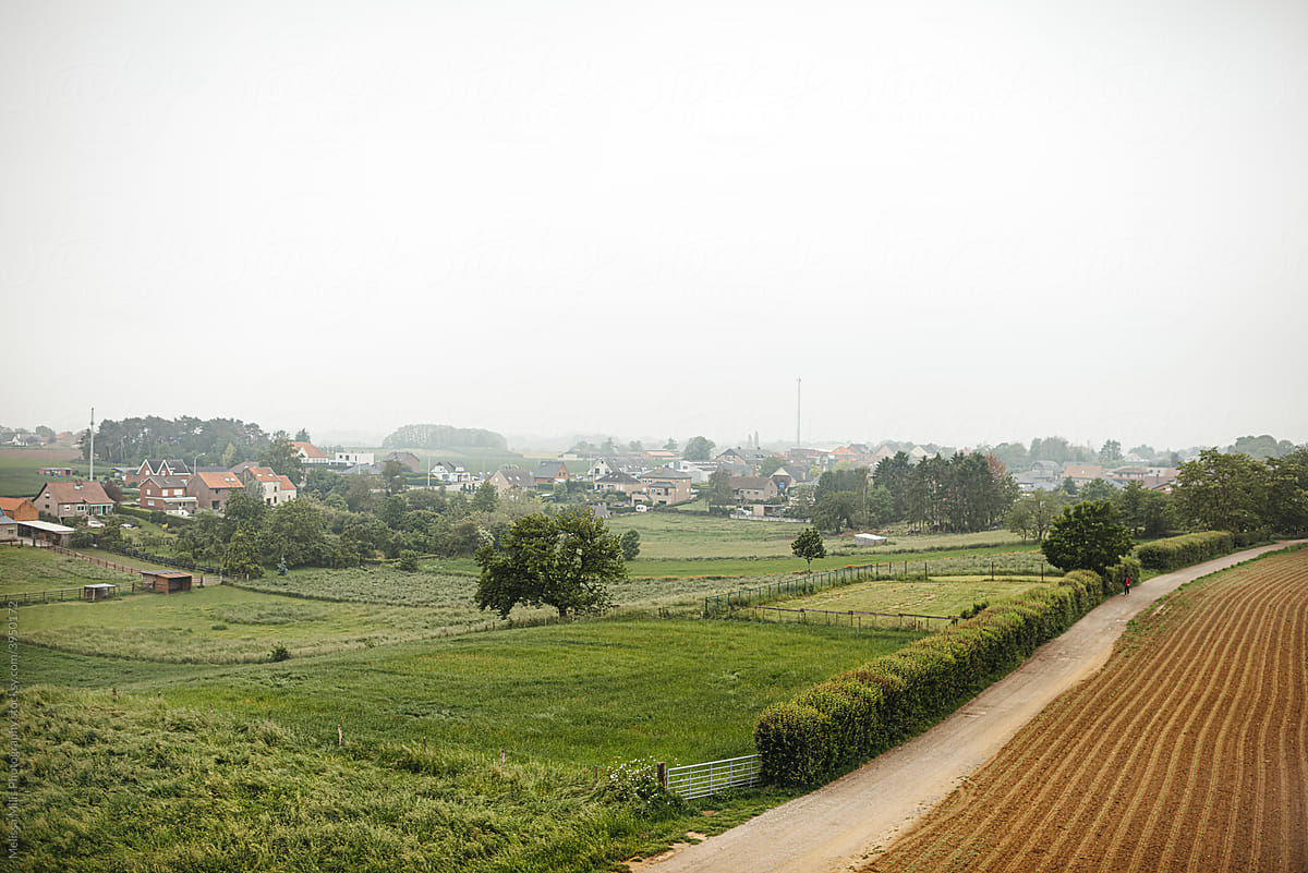 Rural landscape with houses