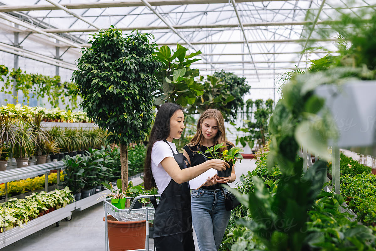 Female worker choosing plant for sale