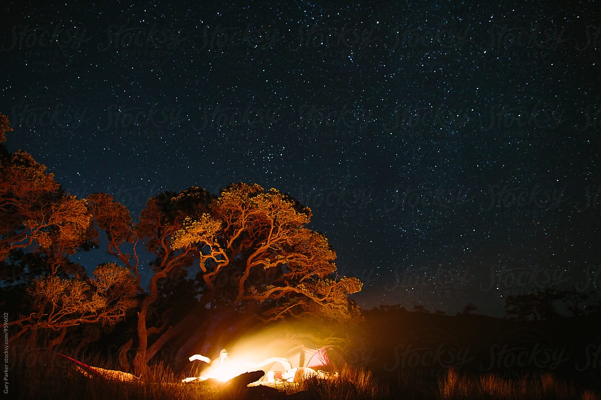 Campfire under a large tree