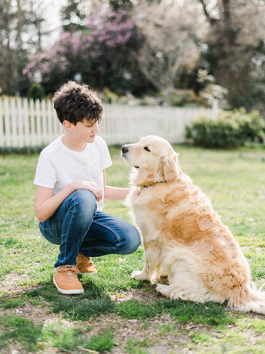 Boy petting a Golden Retriever Dog