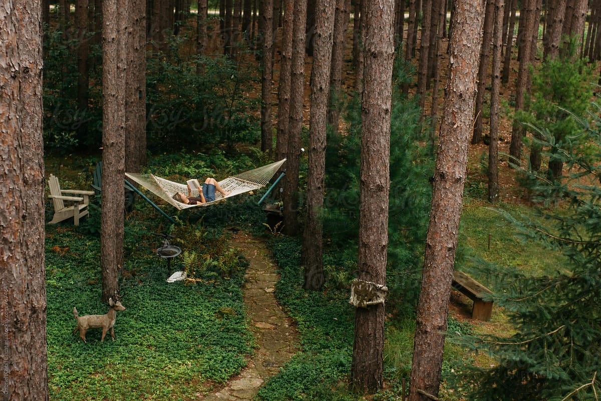 Woman in a hammock in a forest, reading