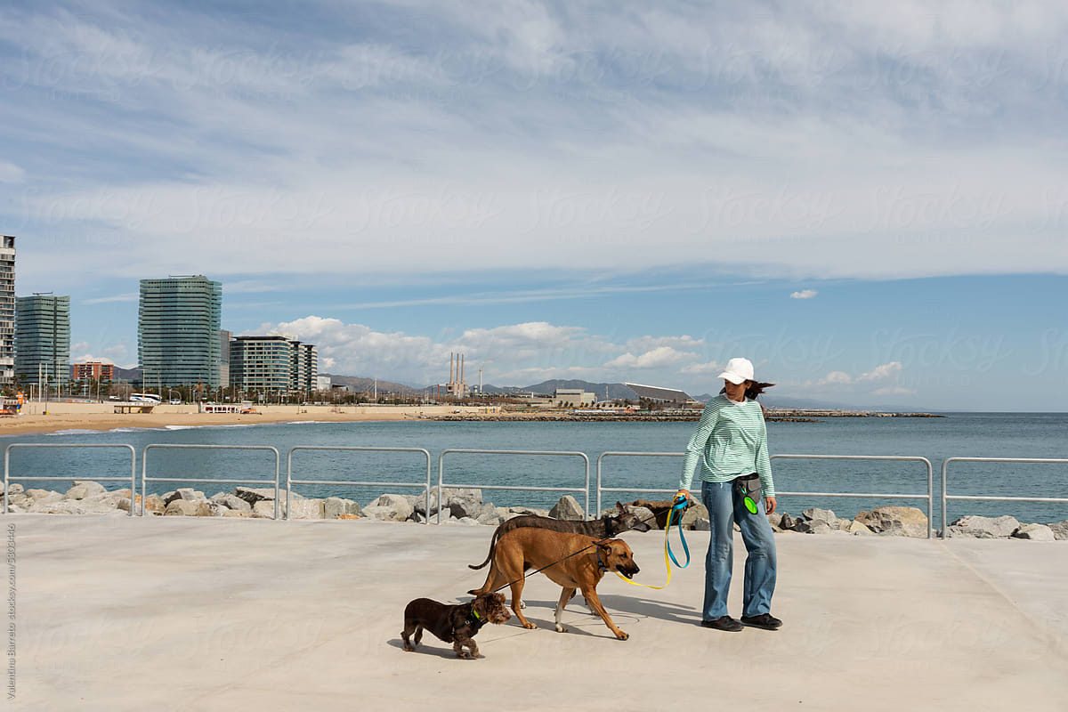 Woman walking dogs by seaside town