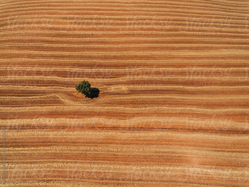 Aerial Textures of agriculture fields