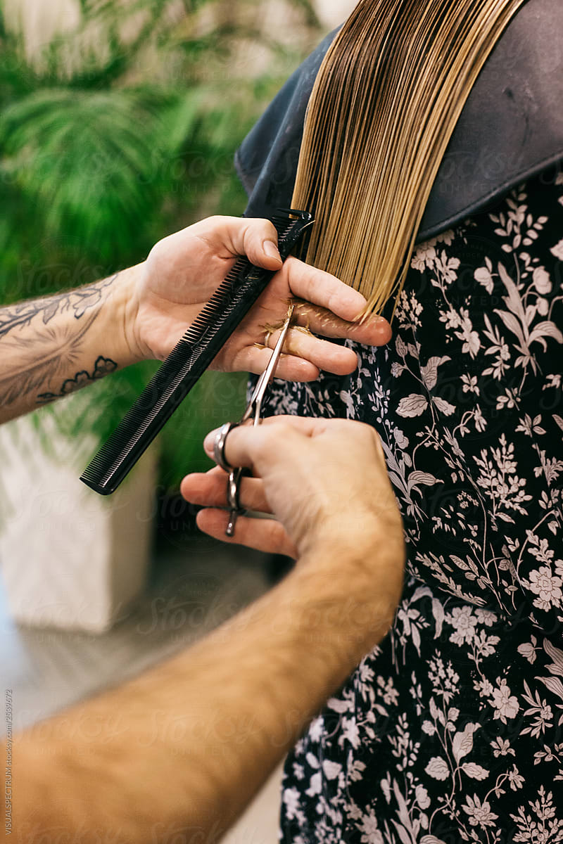 Closeup of Male Hairstylist Cutting Long Hair