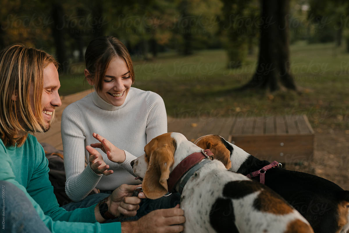 Young couple with their beagle dogs