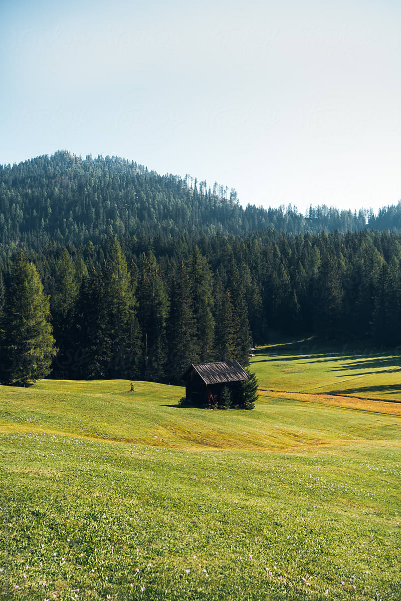 Alpine Hut on a meadow