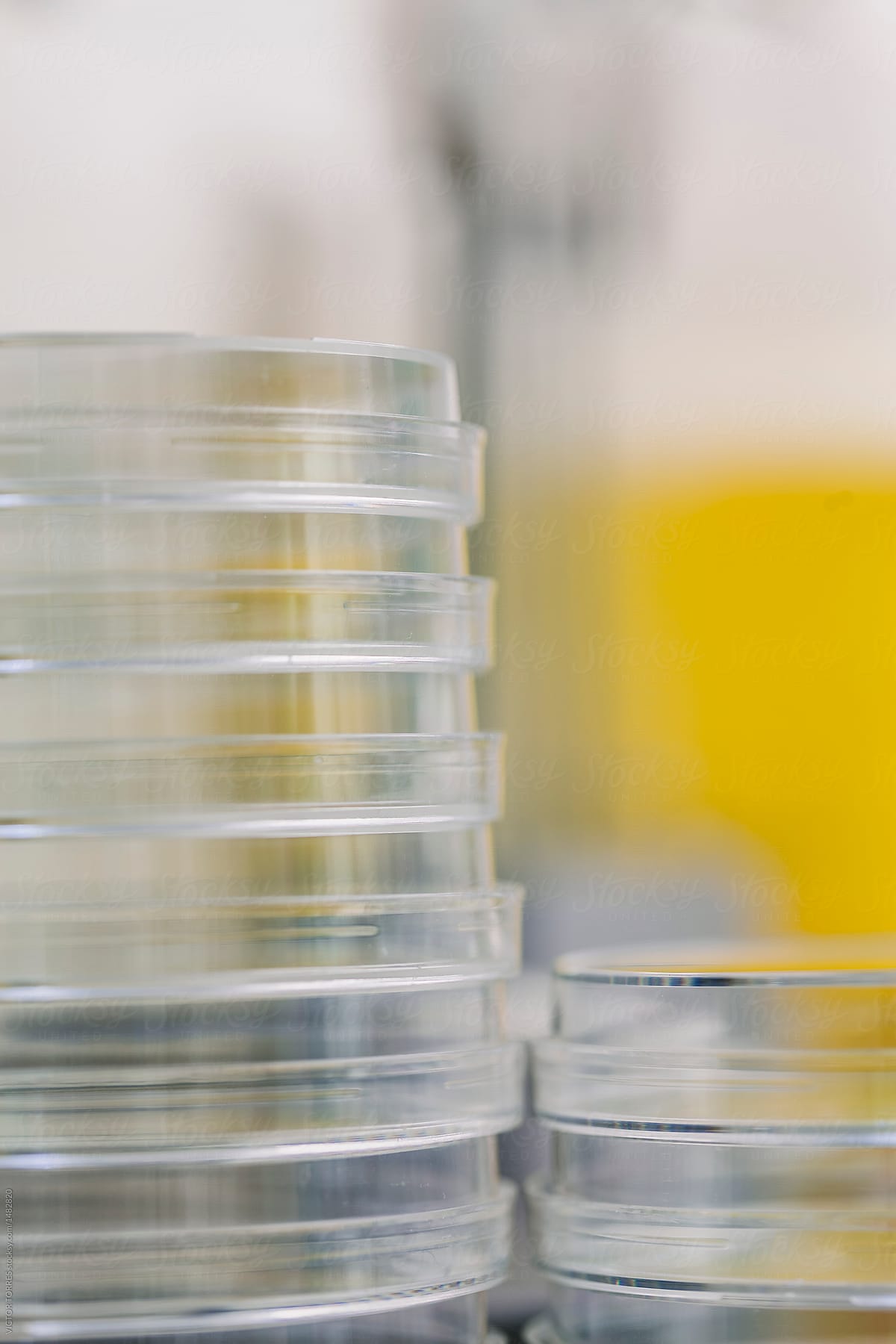 Blurred background of empty petri dishes