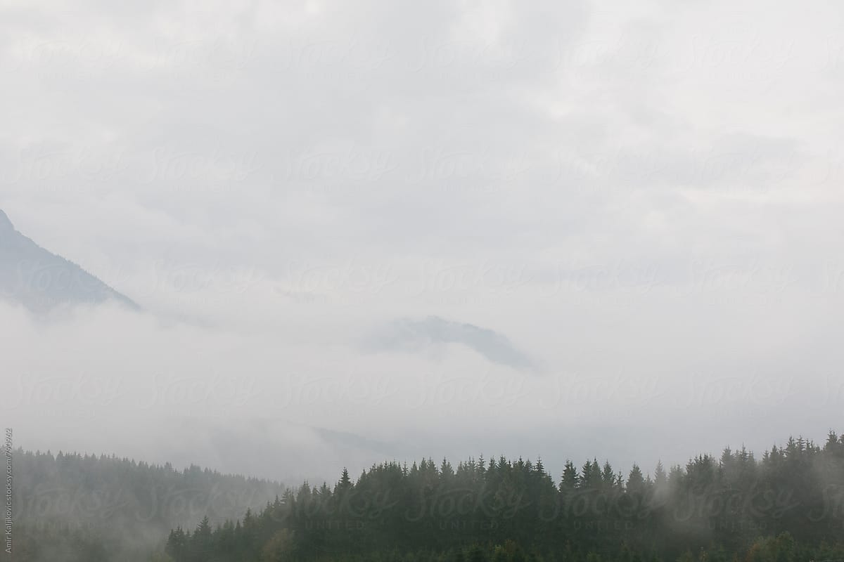 Misty austrian landscape