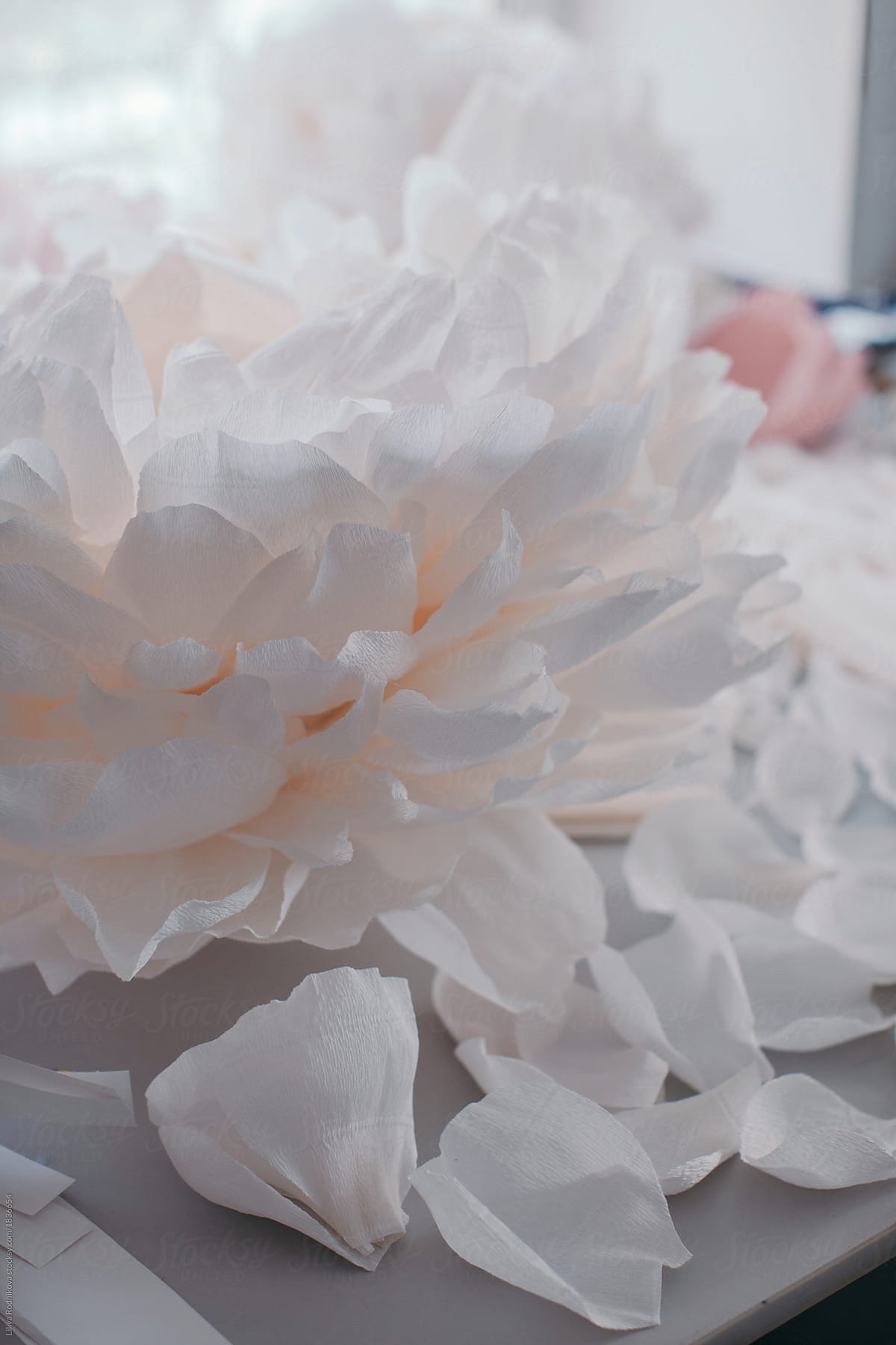 Crop big delicate paper peony and petals on the table