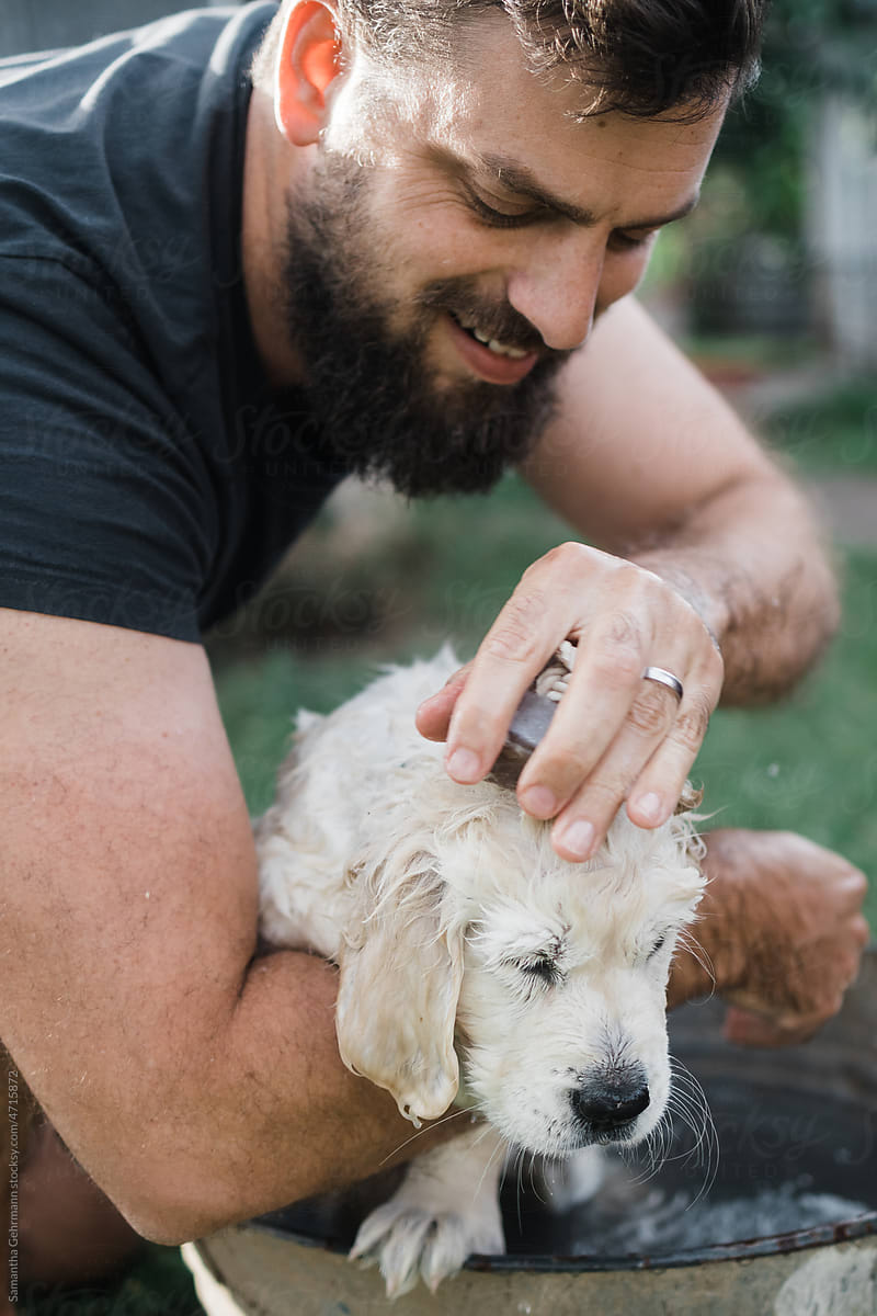 bearded man washing puppy