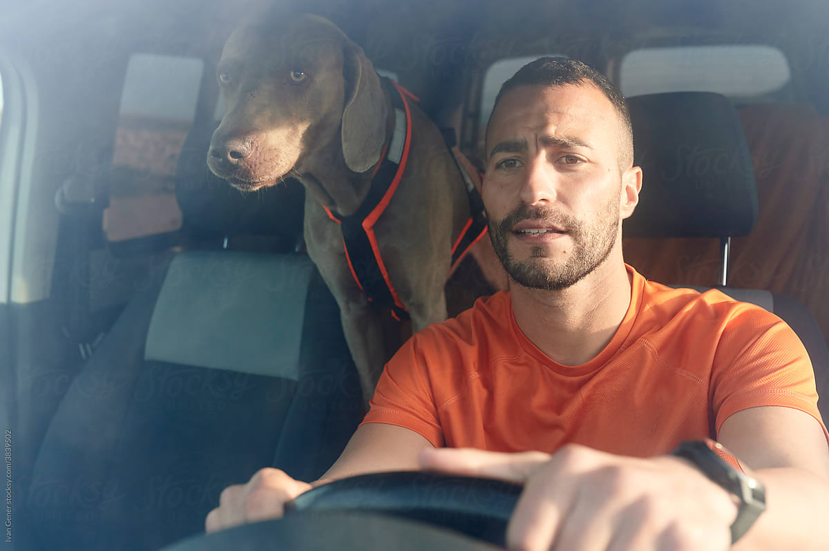 Man driving with his dog