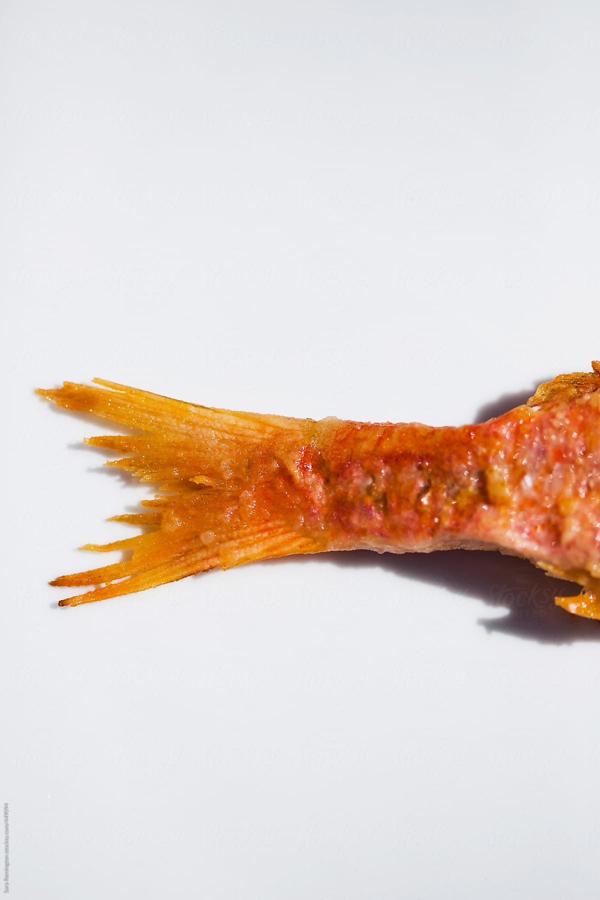 Grilled Orange Fish Tail
