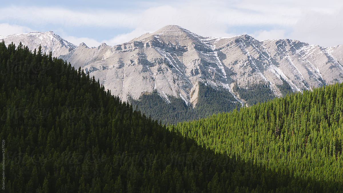 Mountain Range In Front Of Layered Forests
