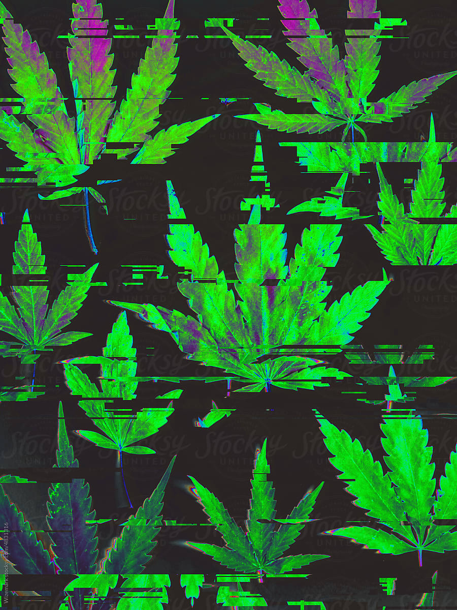 Cannabis, marijuana leafs with glitch effects background