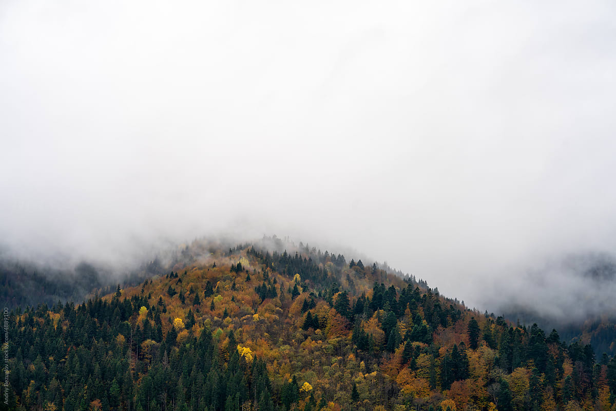 Foggy mountain hills covered with colorful autumn trees