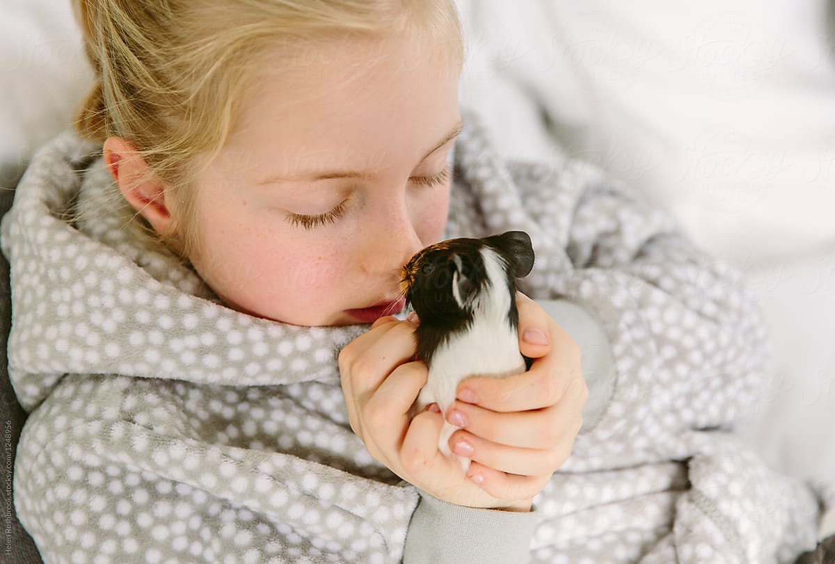 little girl rubbing noses with a baby guinea pig