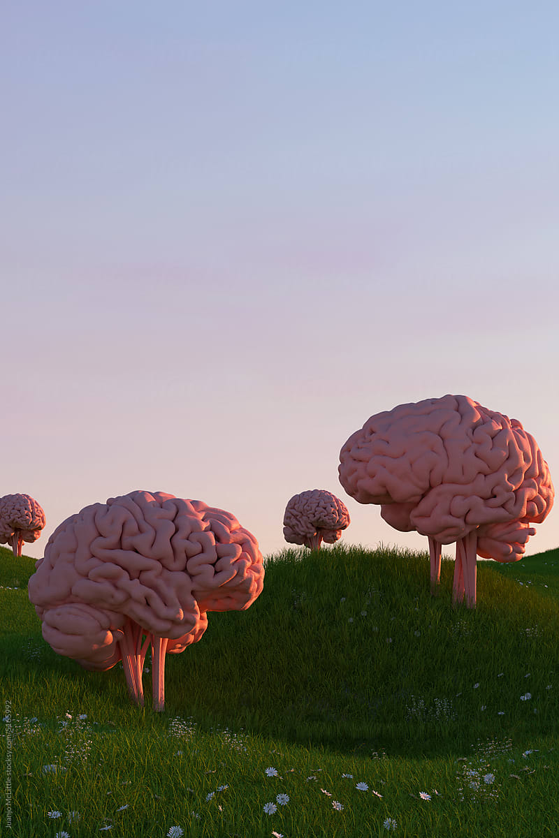 Brain Trees on a Landscape