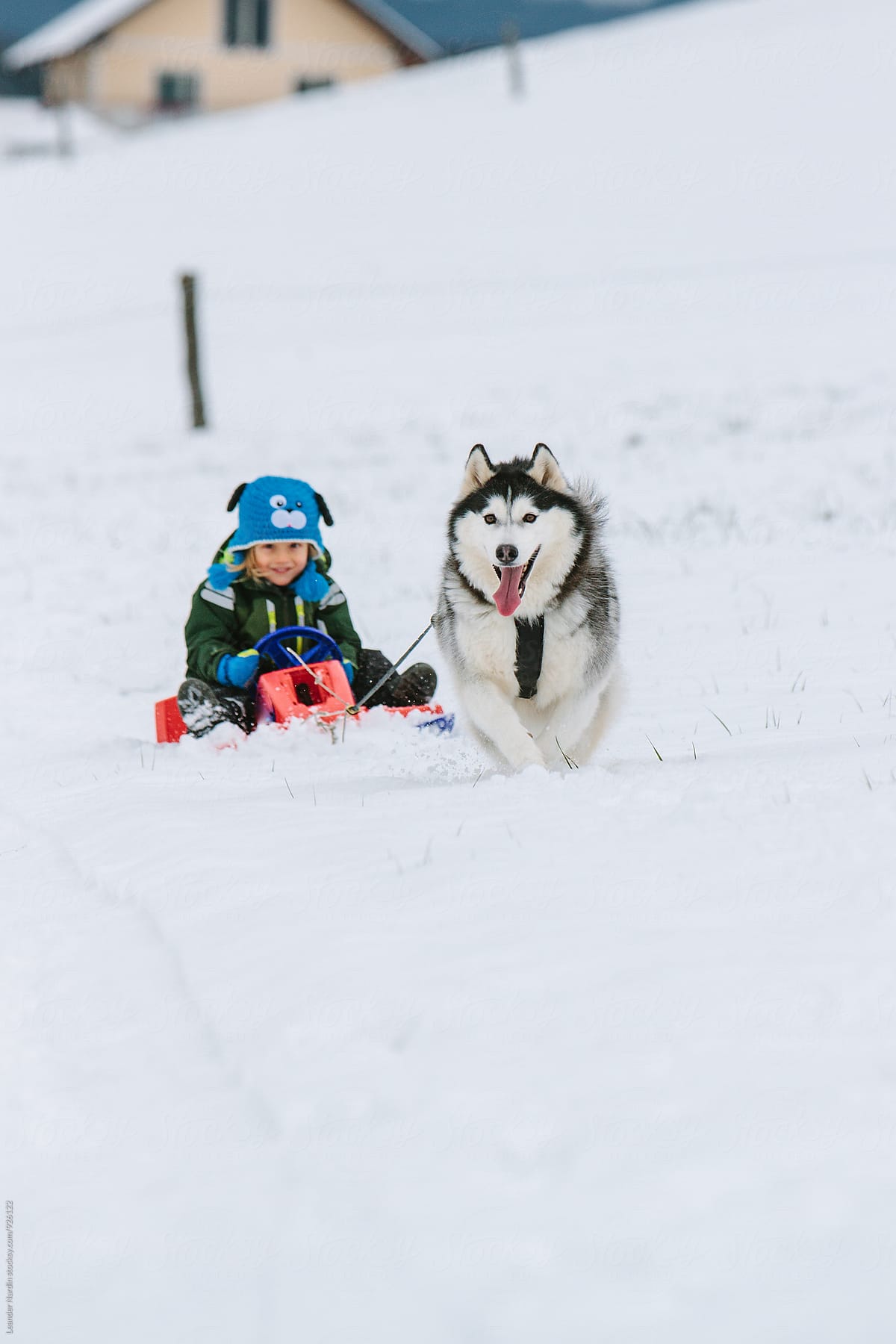 young boy and his husky having fun in snowcovered winter landscape