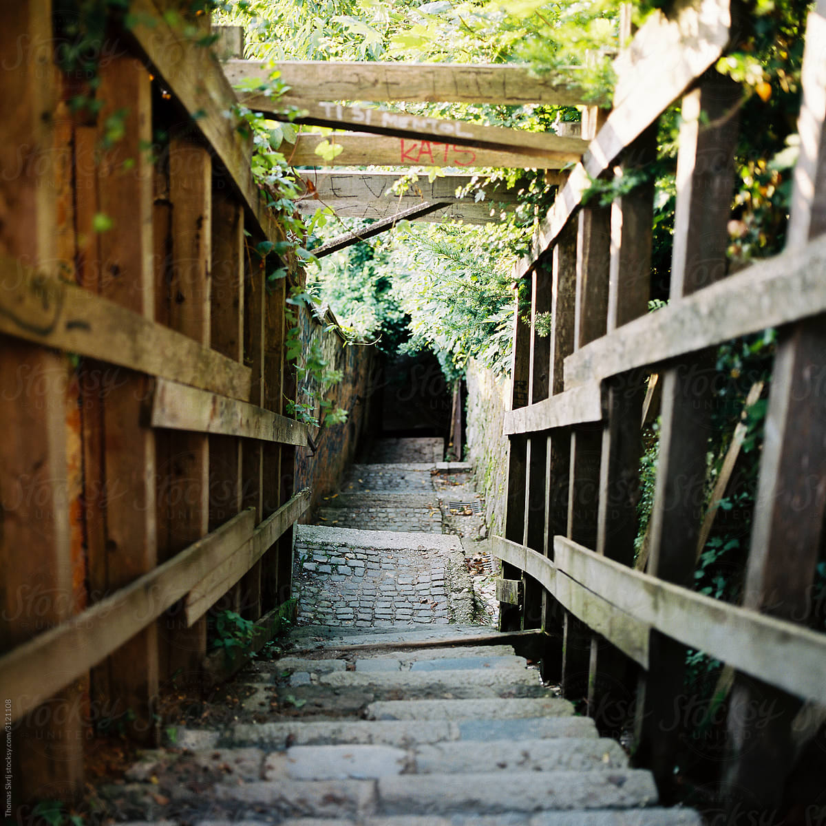 Stairs to the Alley