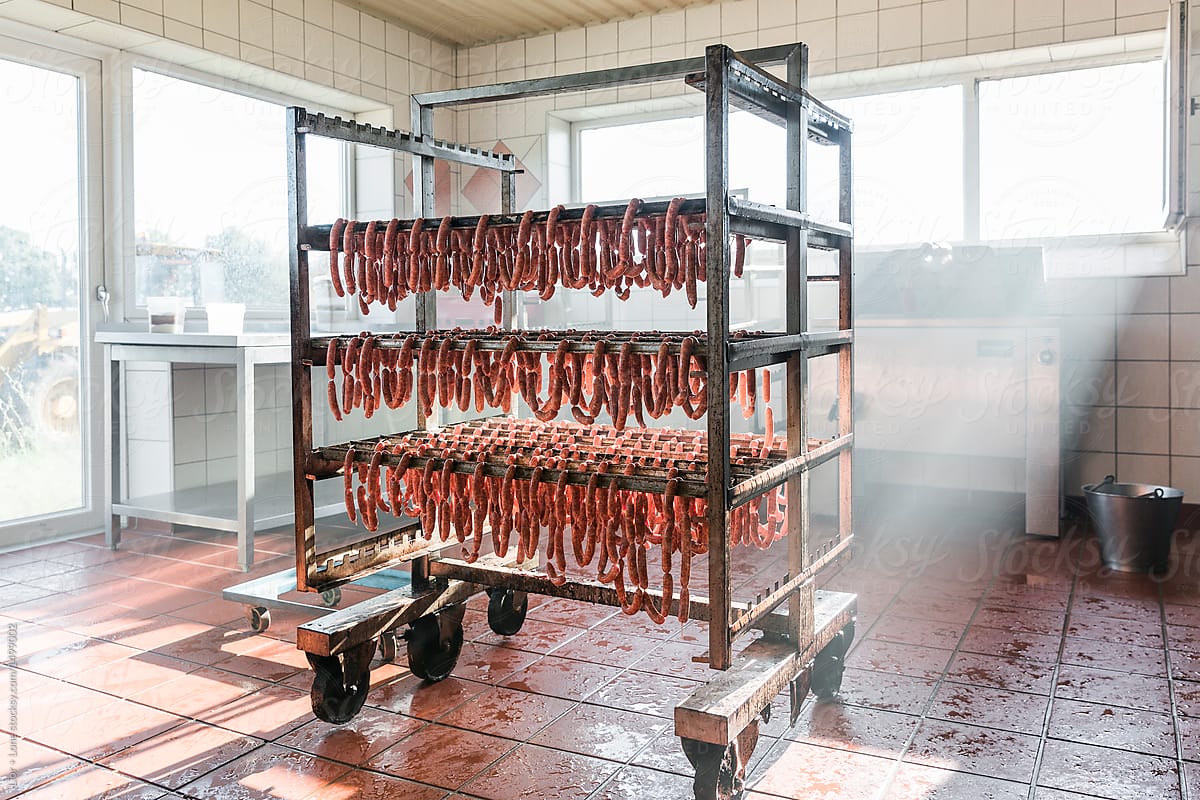 A rack with fresh sausages hanging in a bright room