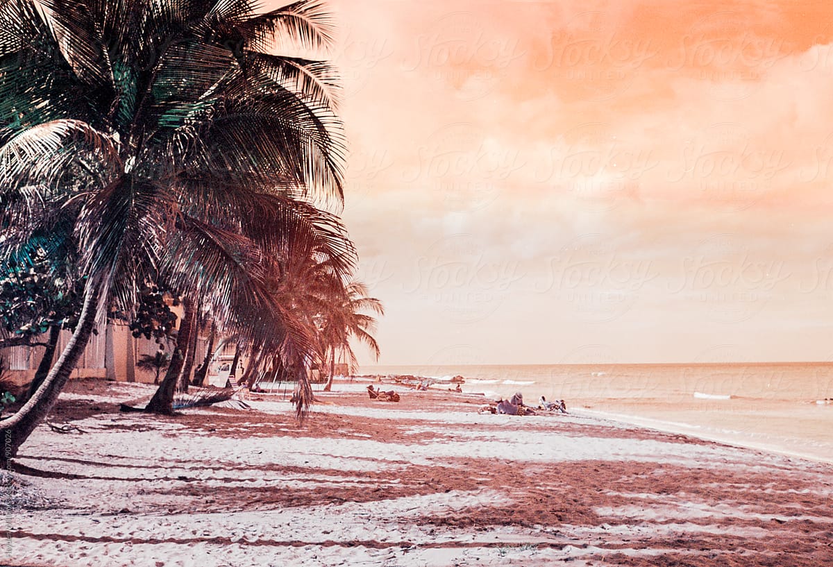 Palm trees and people laying on a beach during an orange sunset