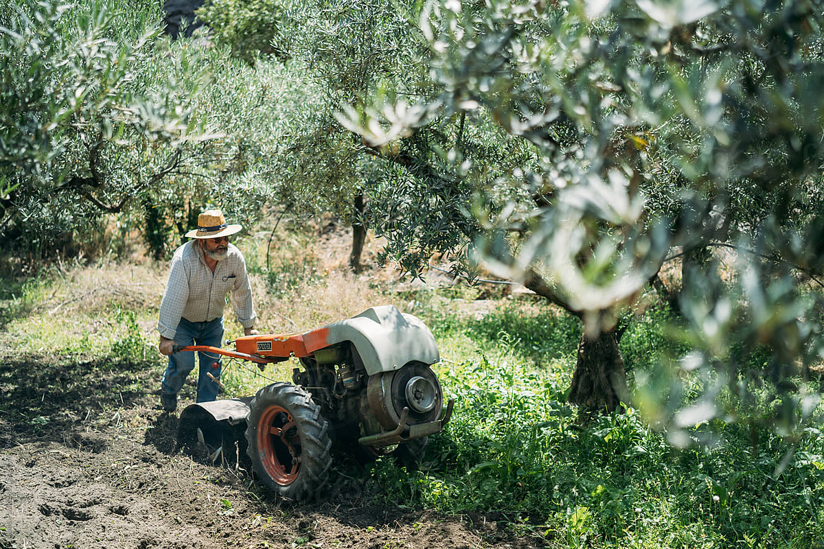 Man with a Hat Working in the Field
