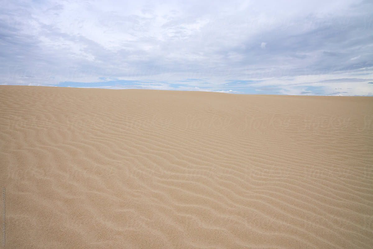 Sand dune landscape