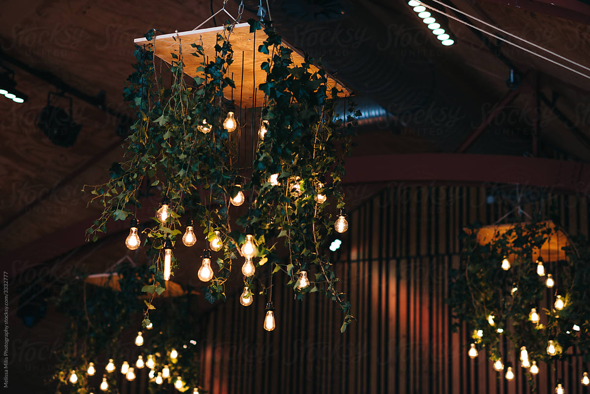 indoor lights with ivy