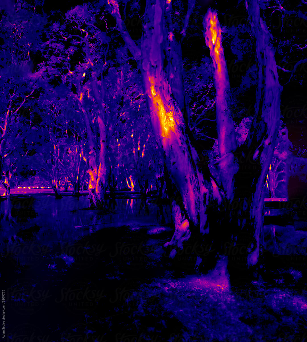 Thermal image of heating effects on tree and plant temperatures under climate change