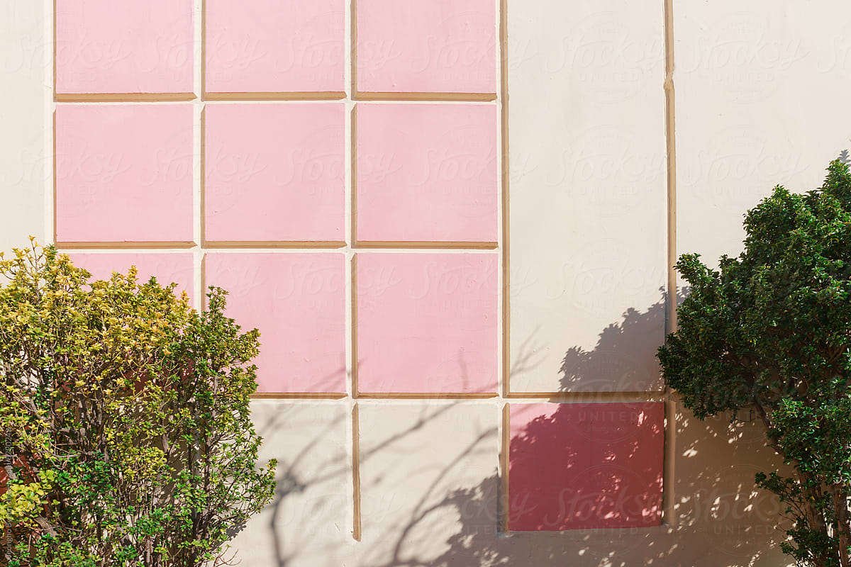 Pink square pattern wall and tree.