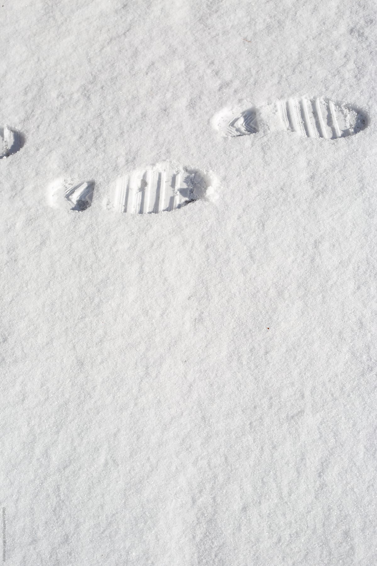 footprints in fresh snow