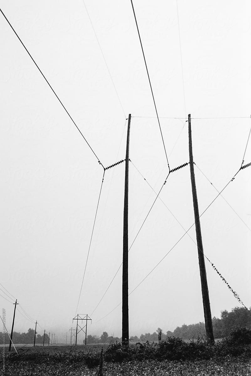 Rural Power Lines Landscape