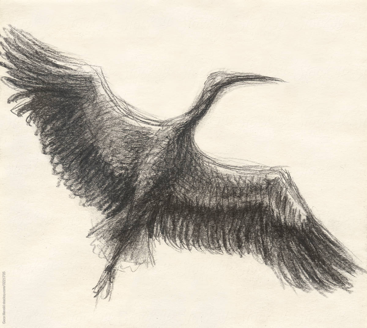 Flying Stork Charcoal Drawing