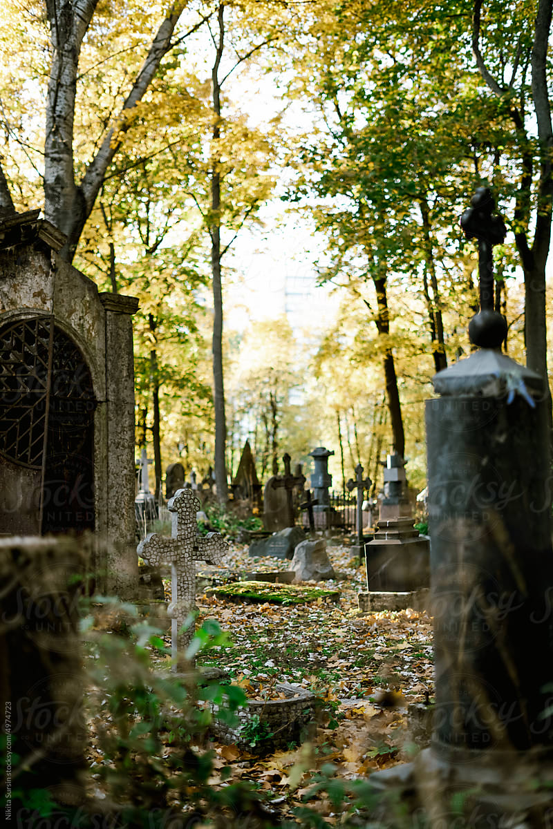 spooky cemetery in forest