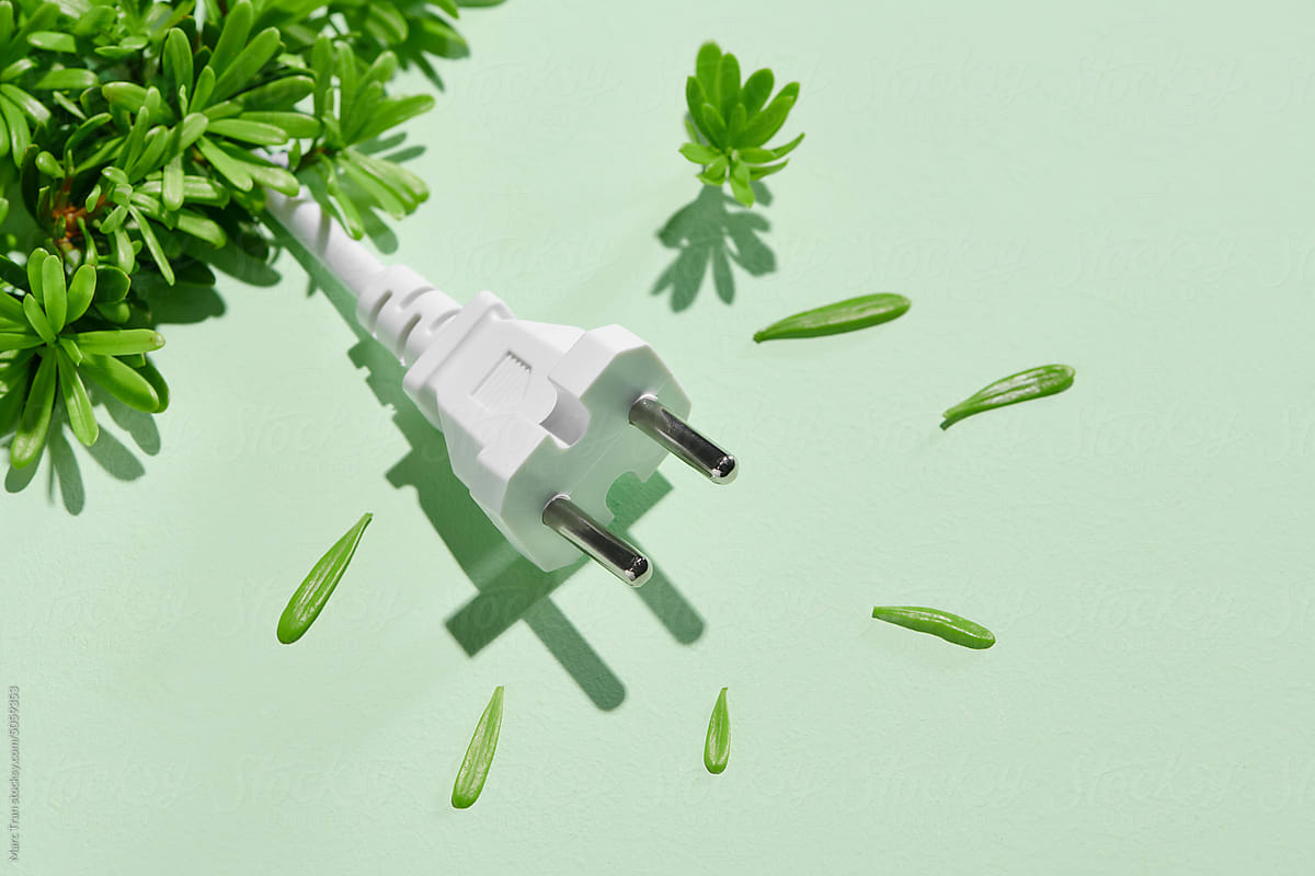 Electrical plug with leaves like a plant. Eco, bio, energy