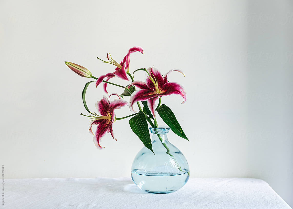 Lily in a glass vase