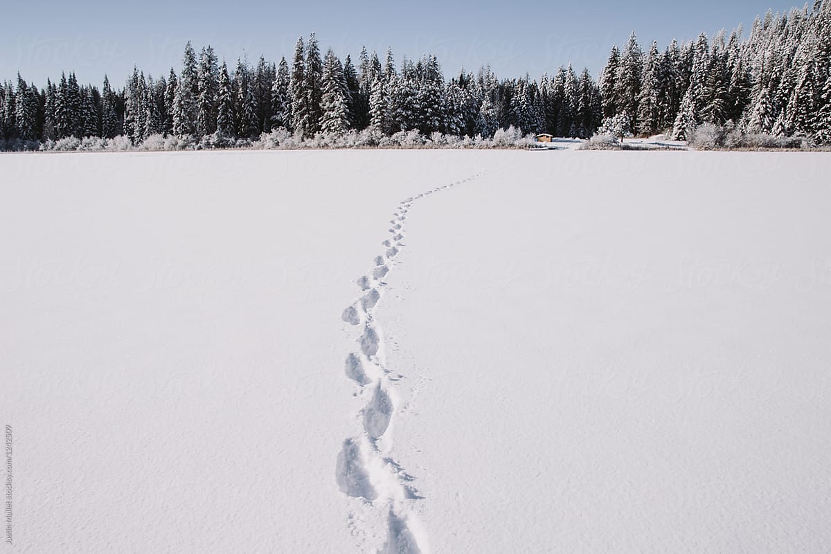 Tracks in snow over frozen lake.