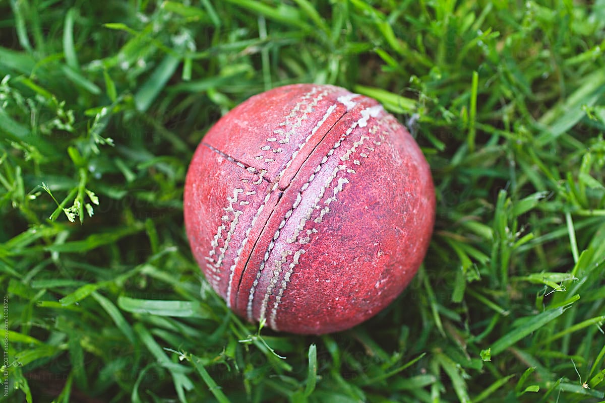 backyard cricket in Australia - close up of old cricket ball