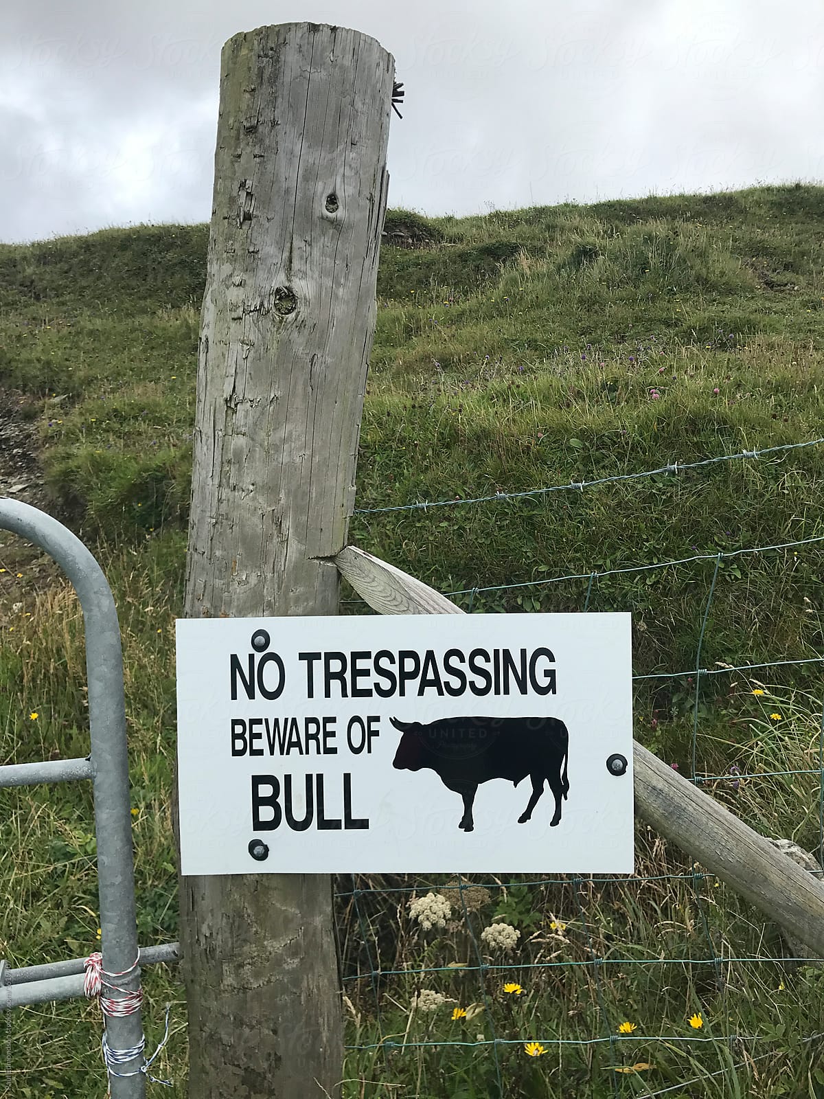 No trespassing sign, Beware of BULL in front of gate to rural farm, Cliffs of Moher, Ireland