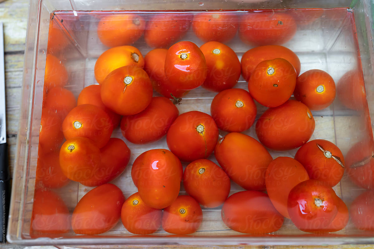 Tomatoes ready to be cooked for making passata sauce