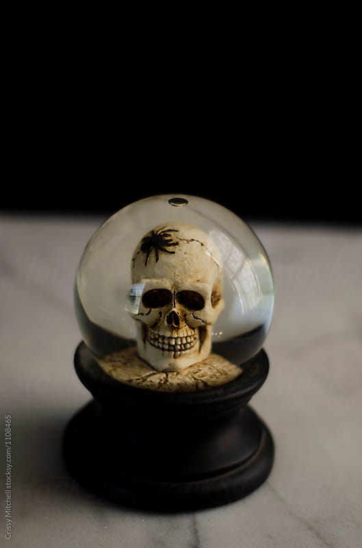 skull snow globe